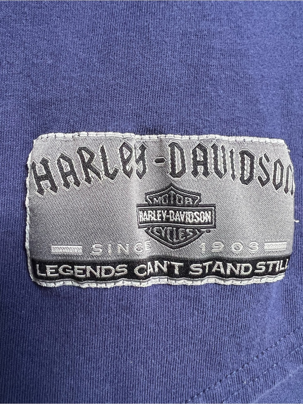 VTG 2000 Harley Davidson Baseball Jersey Sz Large Blue Gray Cotton Button Down - Picture 11 of 14